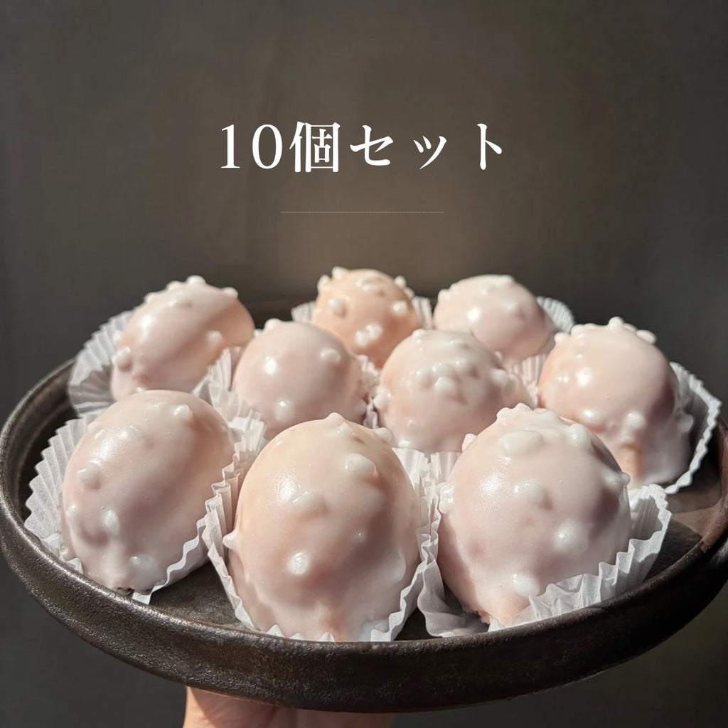 Remmeのレモンケーキ　10個セット