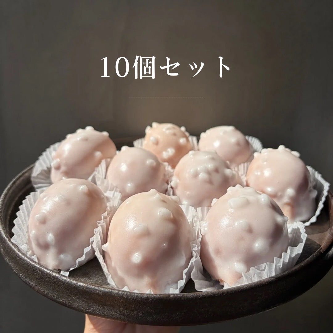Remmeのレモンケーキ　10個セット